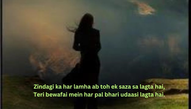 Dard bhari bewafa shayari 2 line